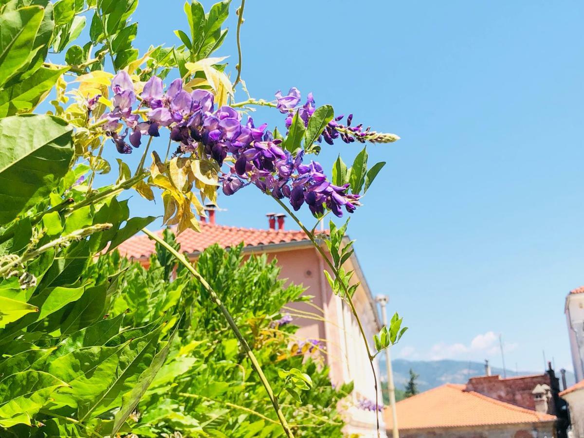 Guesthouse Old Town Xanthi Exteriör bild
